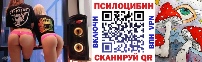 где можно купить   Болохово  Псилоцибиновые грибы мухоморы 